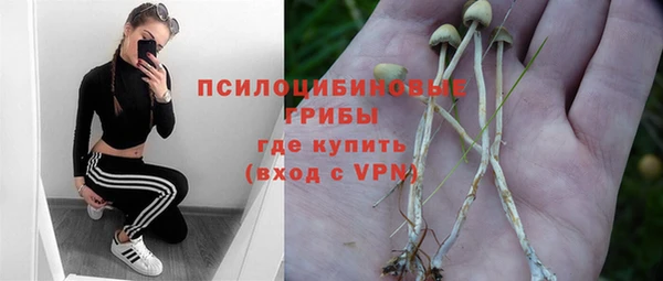гашиш Новокубанск
