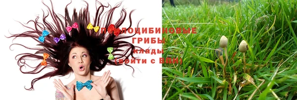 молекула духа Алексеевка