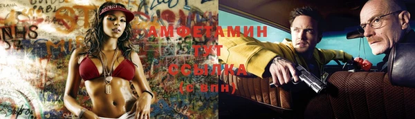 молекула духа Алексеевка